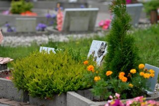 A Genève, une initiative législative cantonale est lancée pour la création d'un jardin du souvenir pour les animaux de compagnie, tel qu'il en existe un à Lausanne (archives). KEYSTONE/DOMINIC FAVRE